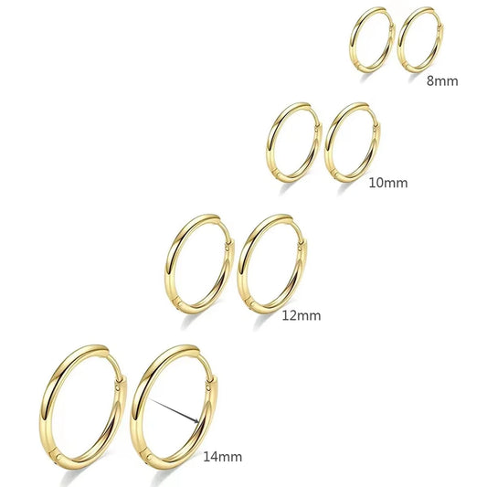 Tiny Stainless Hoop Earring Set