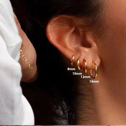 Tiny Stainless Hoop Earring Set