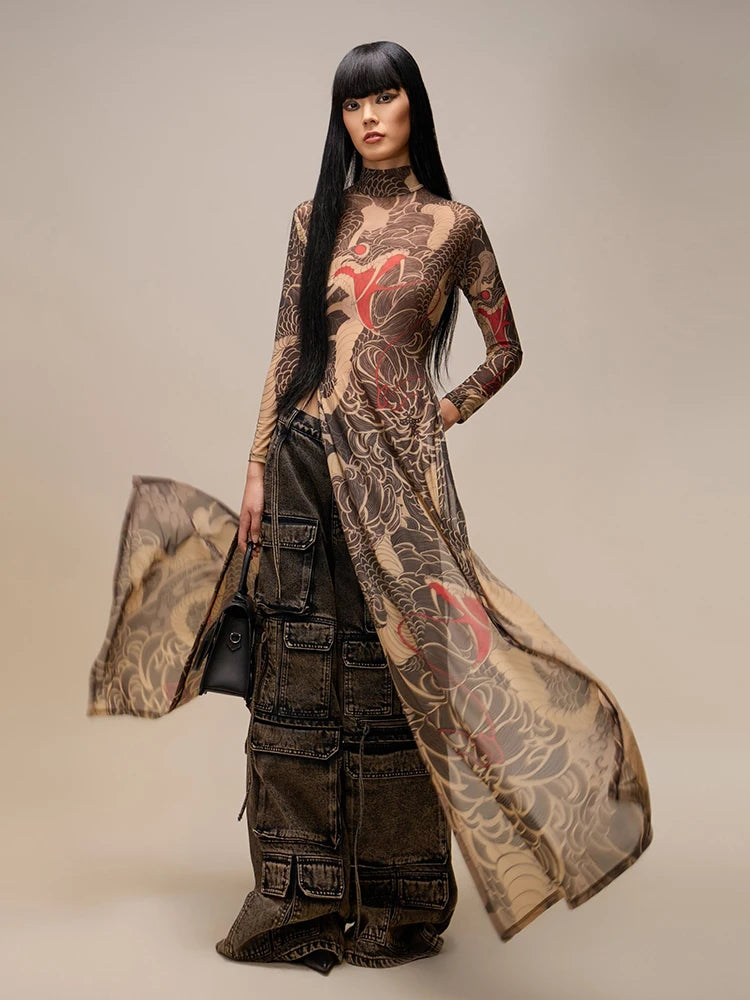 Aesthetic Mesh Slim Fit Dress