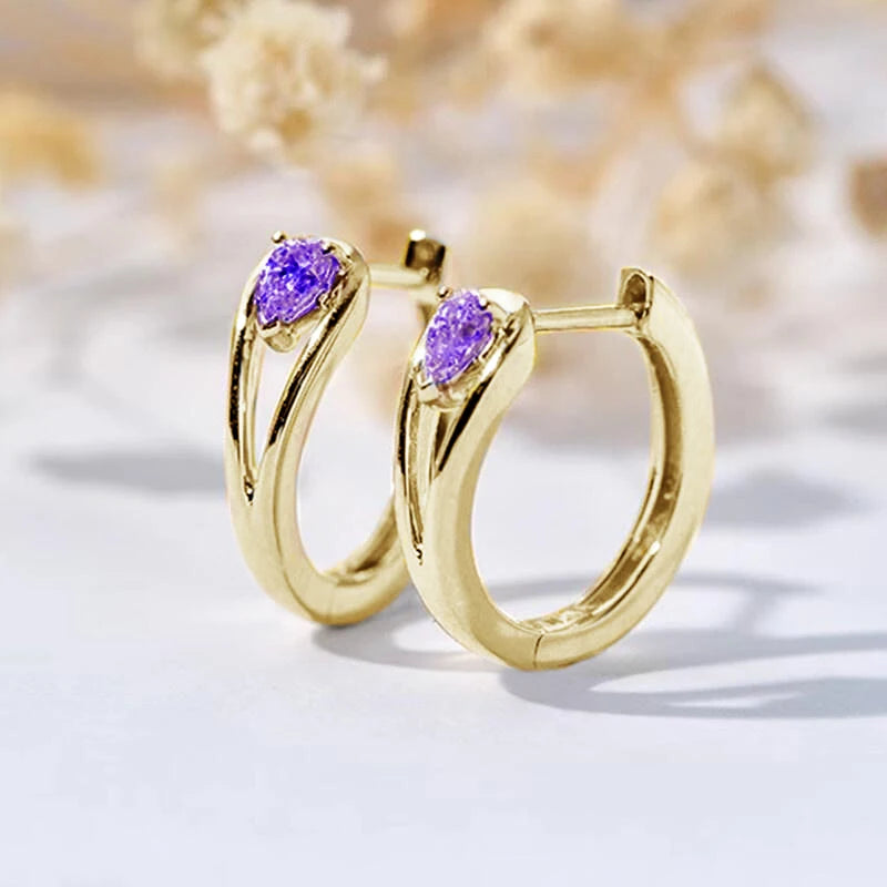 Waterdrop Hoop Zircon Earrings